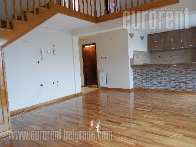 Apartment Vračar