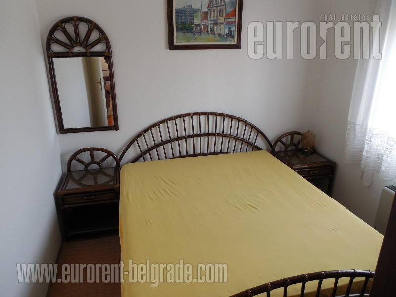 Apartment for rent, SAVSKI VENAC, DEDINJE