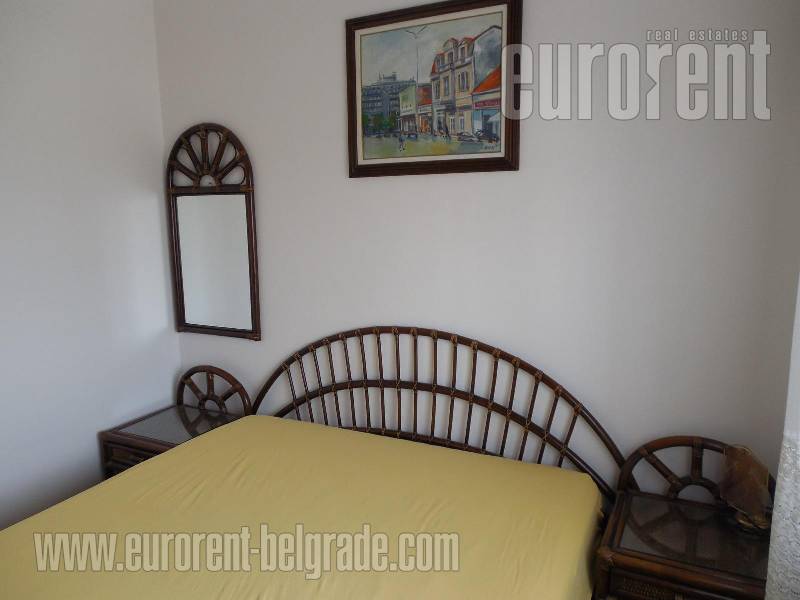 Apartment for rent, SAVSKI VENAC, DEDINJE