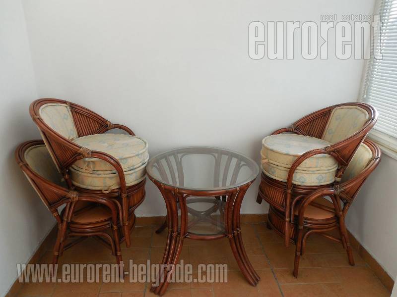 Apartment for rent, SAVSKI VENAC, DEDINJE