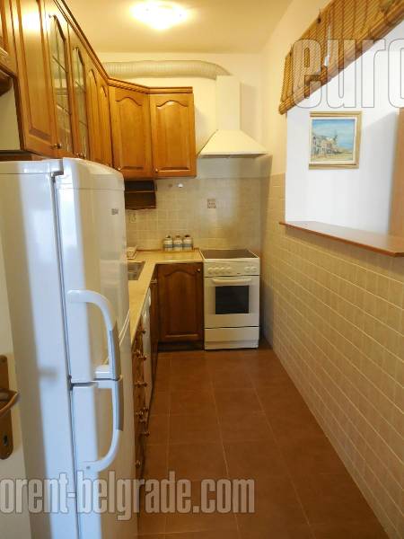 Apartment for rent, SAVSKI VENAC, DEDINJE