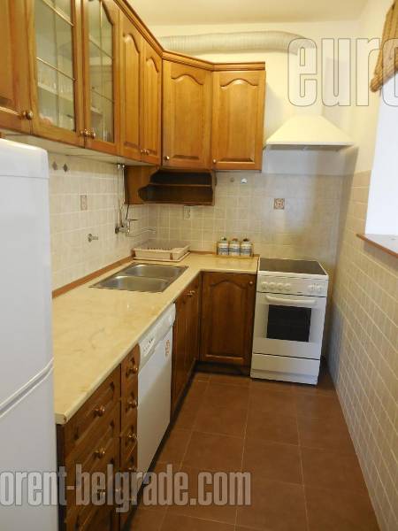 Apartment for rent, SAVSKI VENAC, DEDINJE