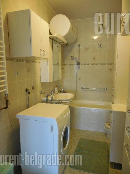 Apartment for rent, SAVSKI VENAC, DEDINJE