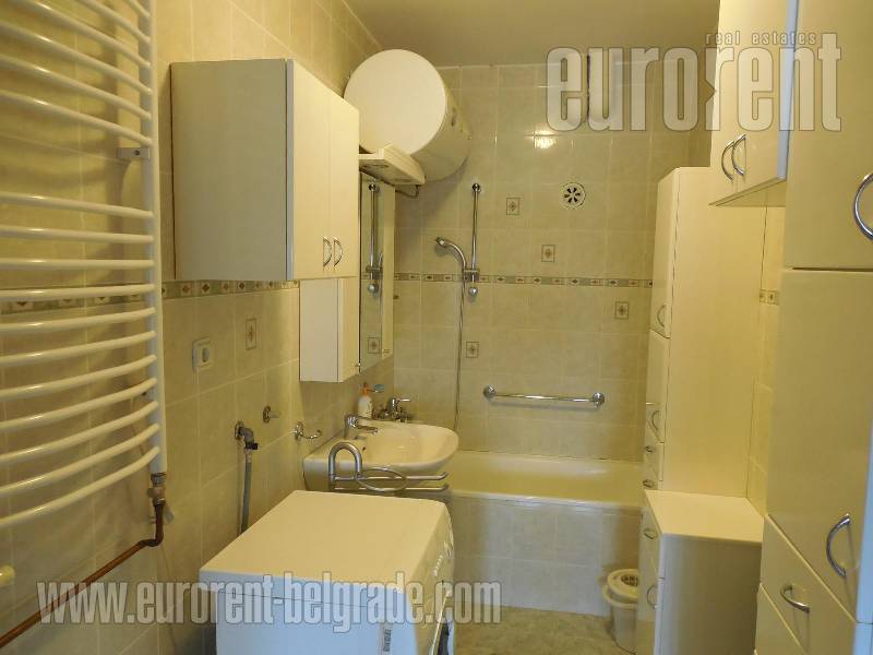 Apartment for rent, SAVSKI VENAC, DEDINJE