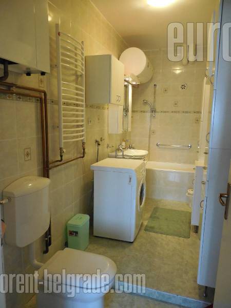 Apartment for rent, SAVSKI VENAC, DEDINJE