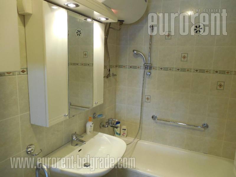 Apartment for rent, SAVSKI VENAC, DEDINJE