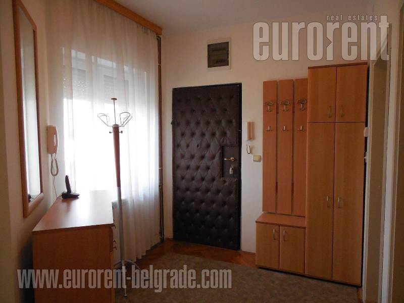 Apartment for rent, SAVSKI VENAC, DEDINJE