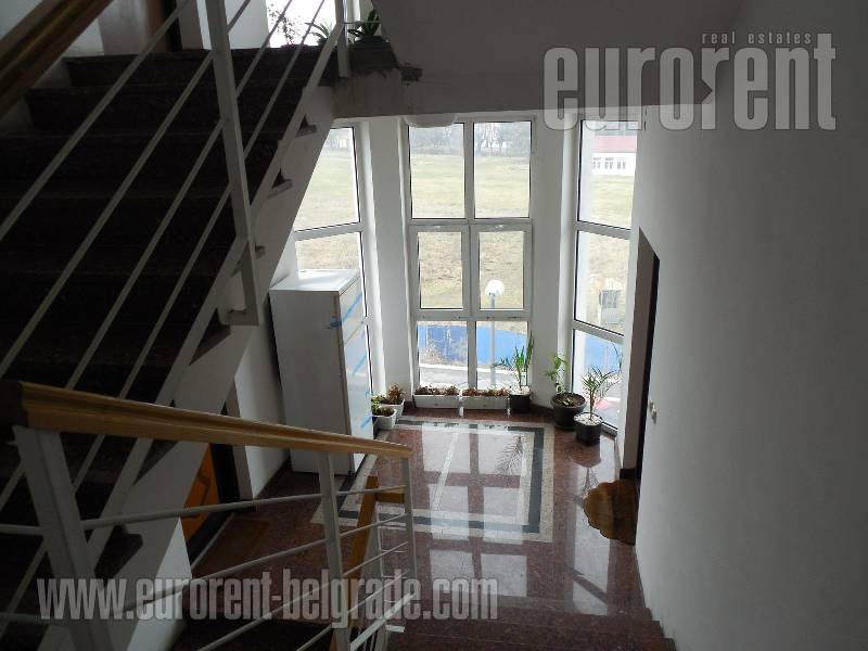 Apartment for rent, SAVSKI VENAC, DEDINJE