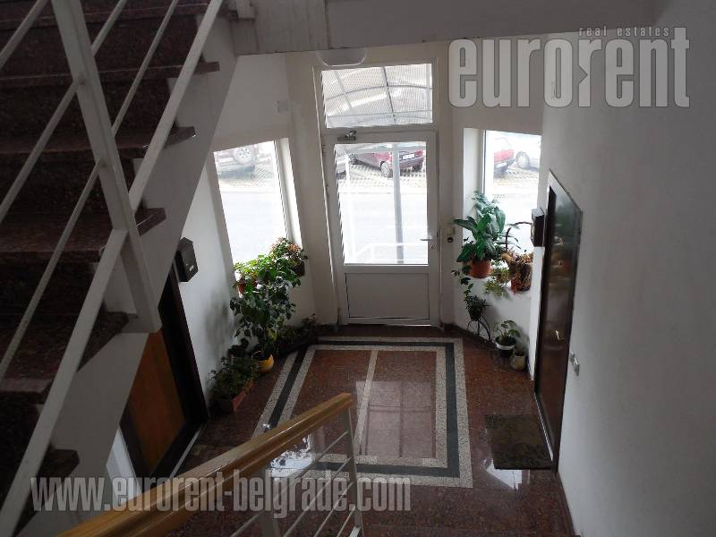 Apartment for rent, SAVSKI VENAC, DEDINJE