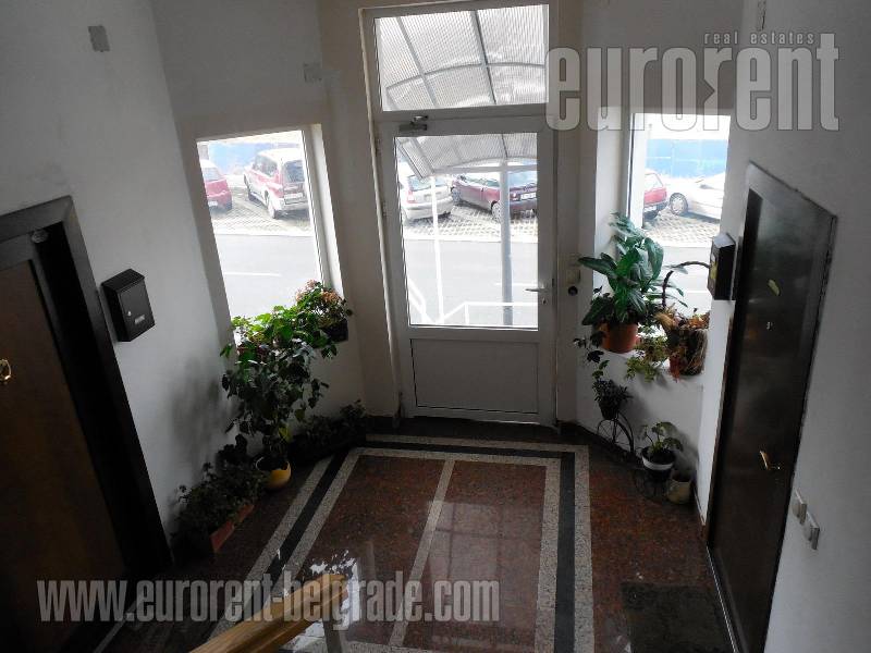 Apartment for rent, SAVSKI VENAC, DEDINJE