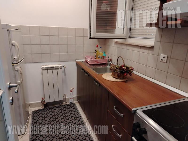 Apartment for rent, SAVSKI VENAC, SENJAK