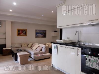 Apartment SAVSKI VENAC