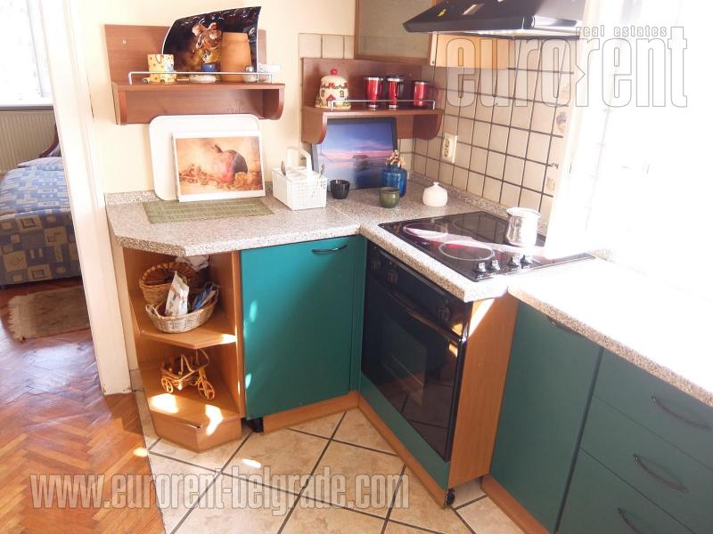 Stan za izdavanje, SAVSKI VENAC, DEDINJE